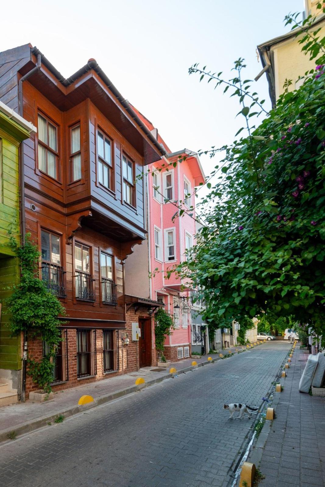 Brown Mansion Oldcity Istambul Exterior foto